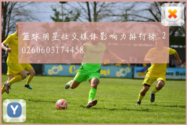 篮球明星社交媒体影响力排行榜_20260603174458